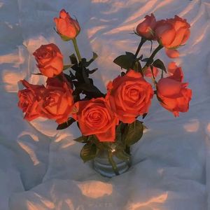 女友的石女闺蜜石瑶小说免费阅读
